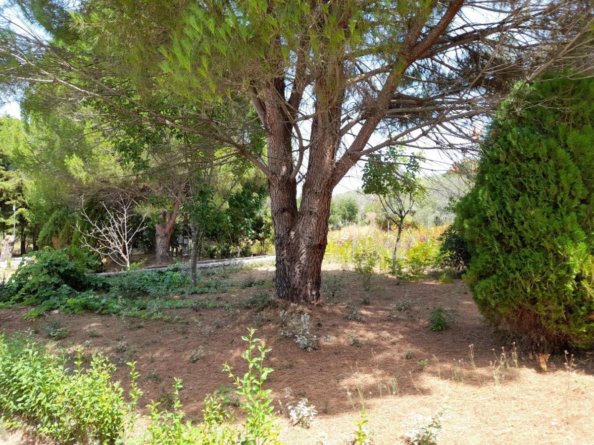 Lemontree Apartments Kassiopi Extérieur photo