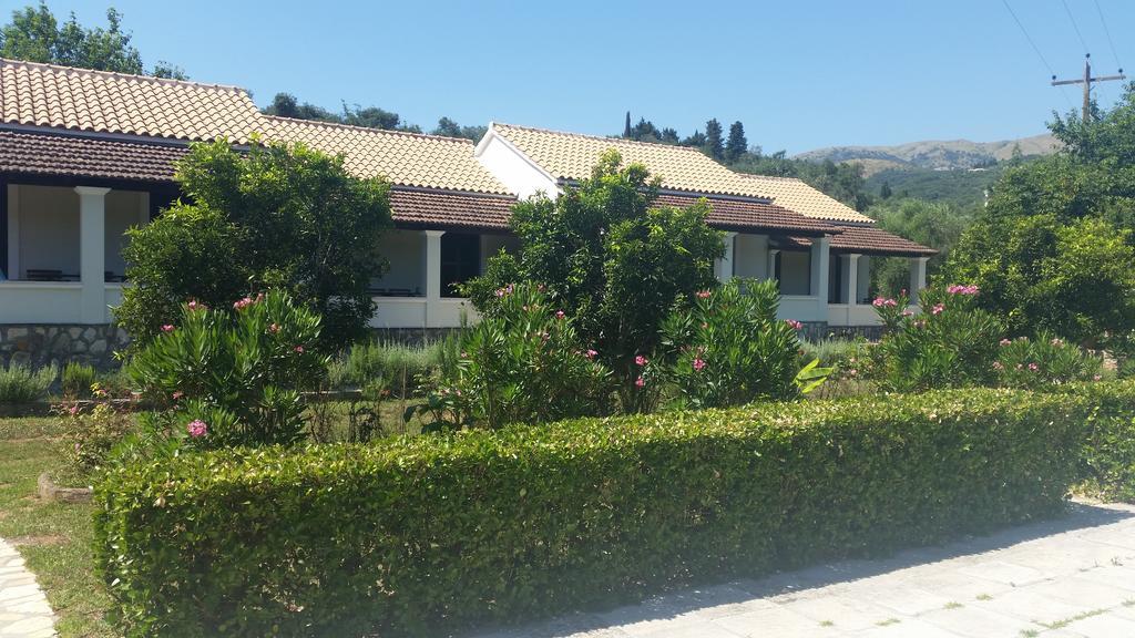 Lemontree Apartments Kassiopi Extérieur photo